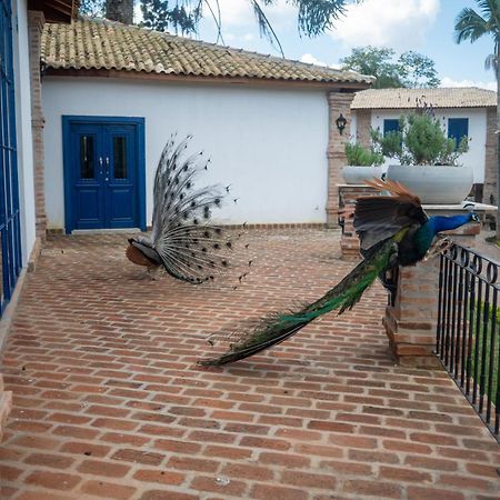 Hotel Fazenda Sao Silvano 莫伦加巴 外观 照片