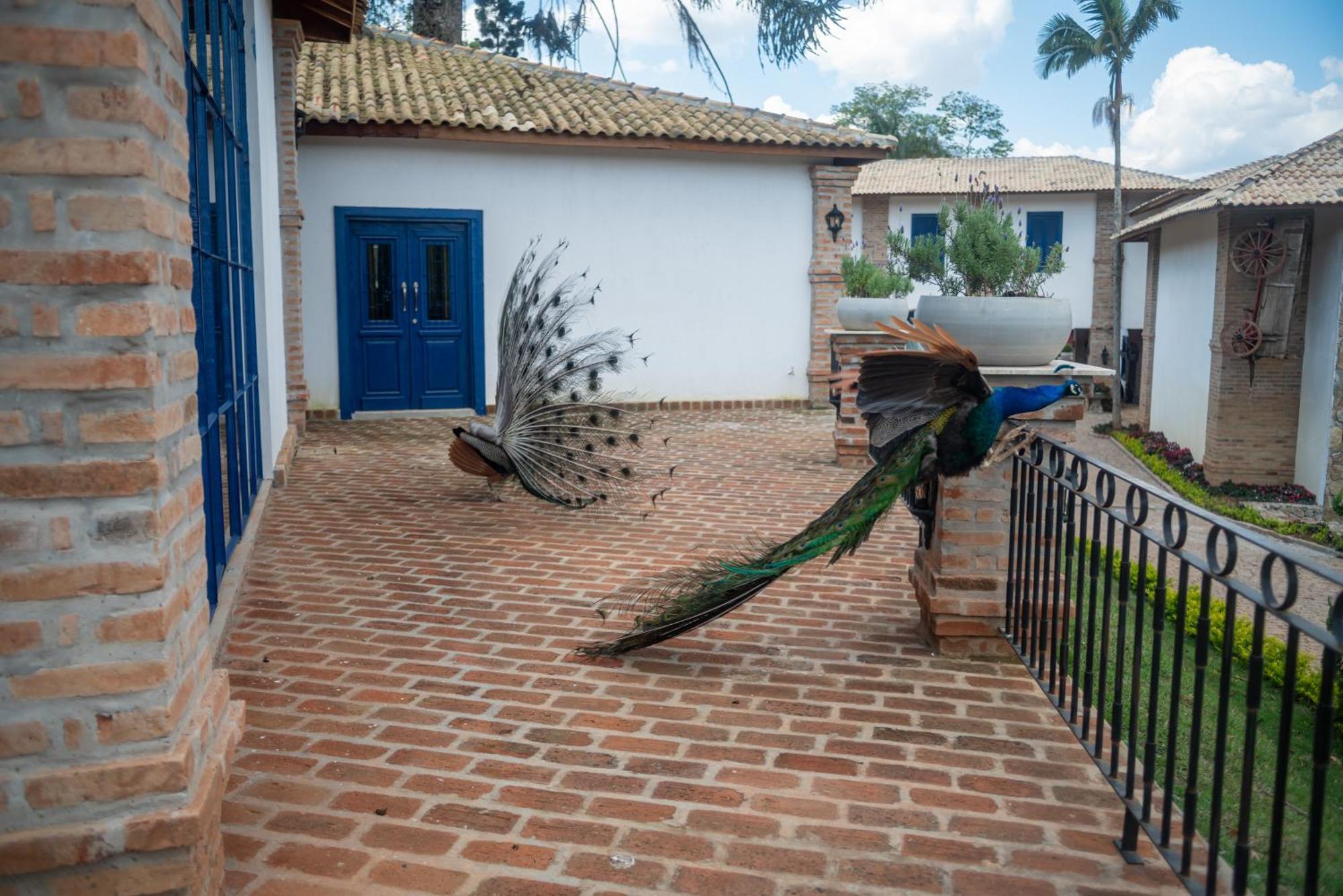 Hotel Fazenda Sao Silvano 莫伦加巴 外观 照片