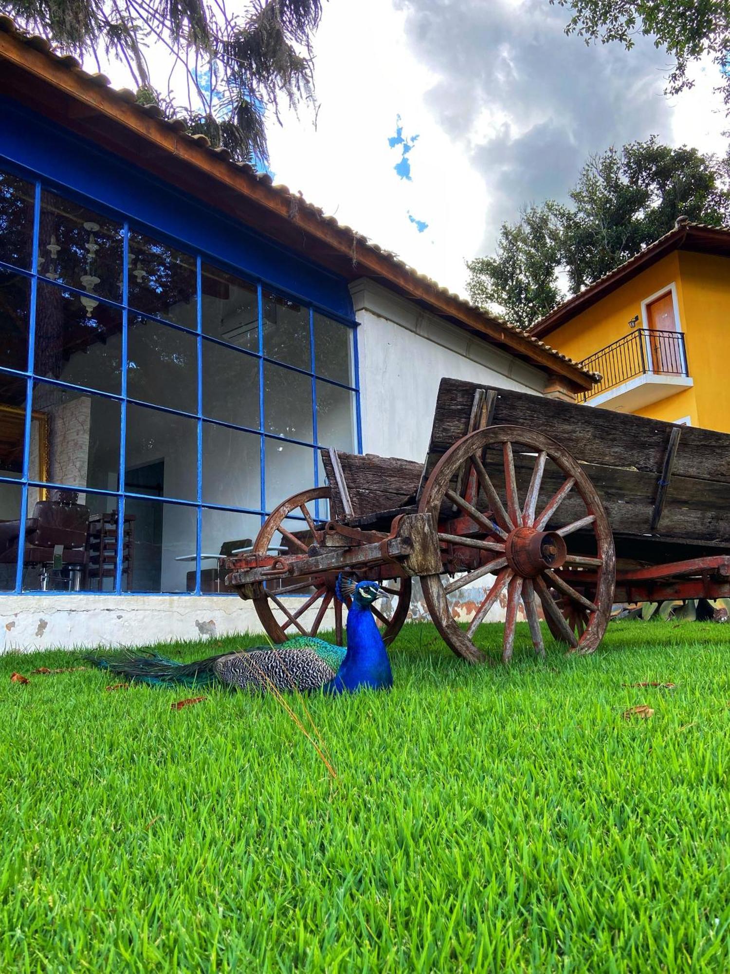 Hotel Fazenda Sao Silvano 莫伦加巴 外观 照片